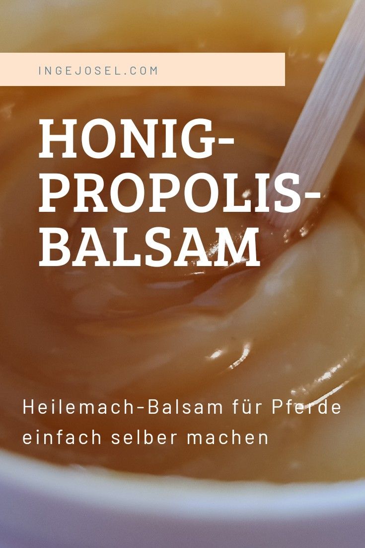 Honig Propolis Balsam das Beste für Hund und Pferd