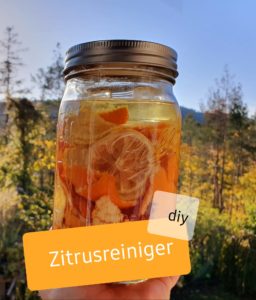 Zitrus-Essig-Reiniger im Glas